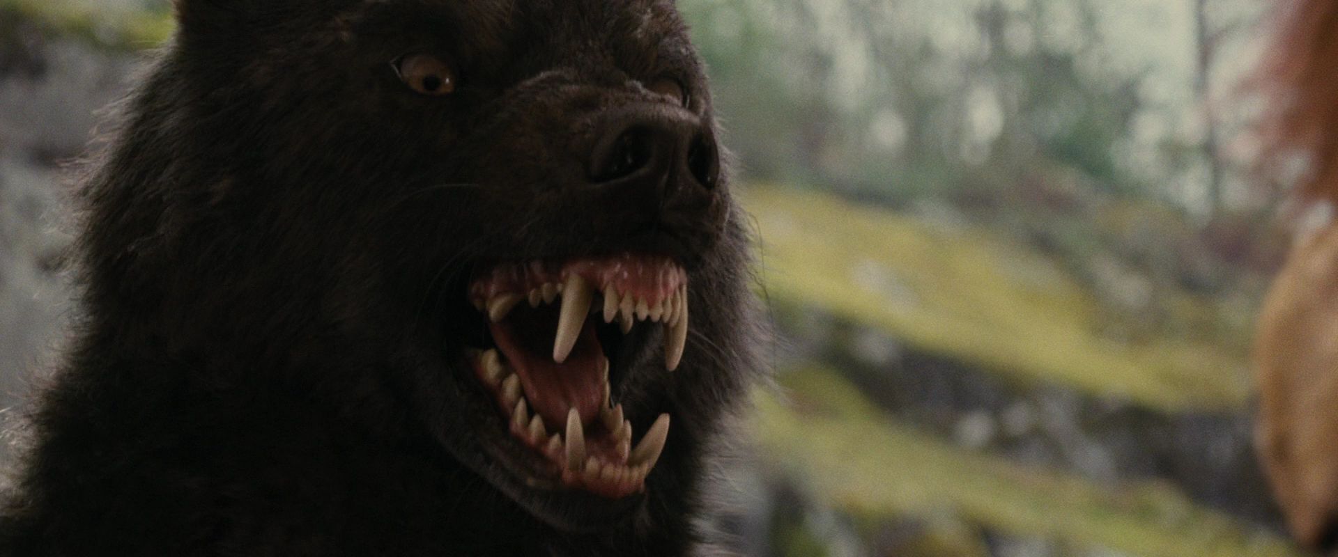 BreakingDawnPt1-2644.jpg
