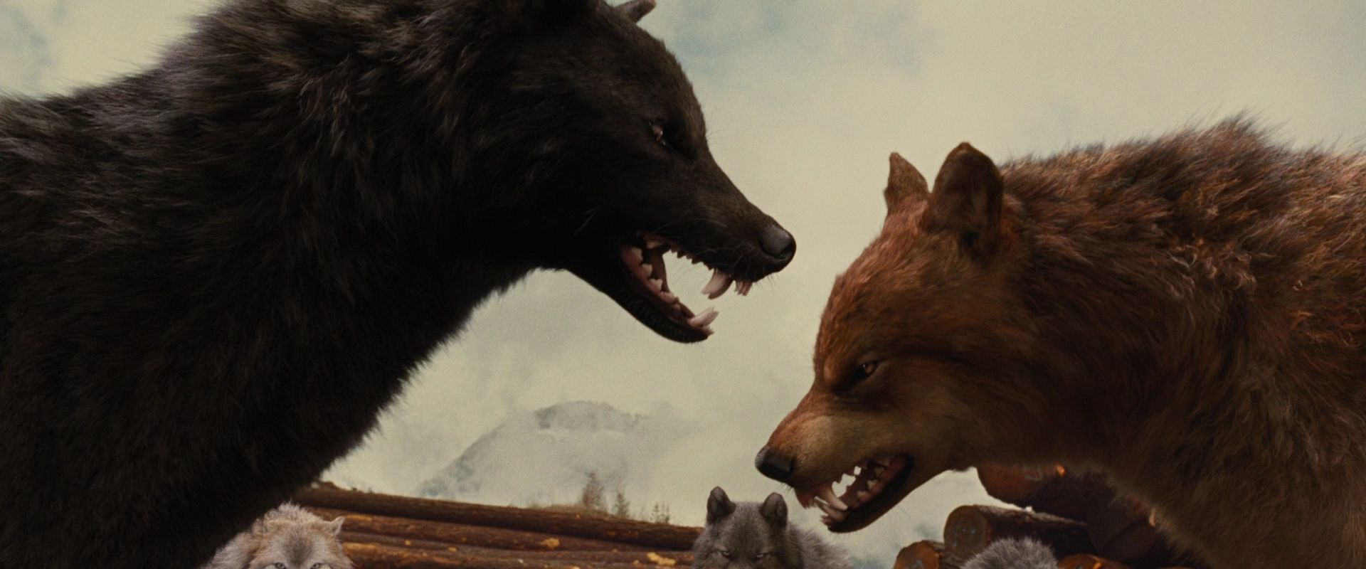 BreakingDawnPt1-2648.jpg