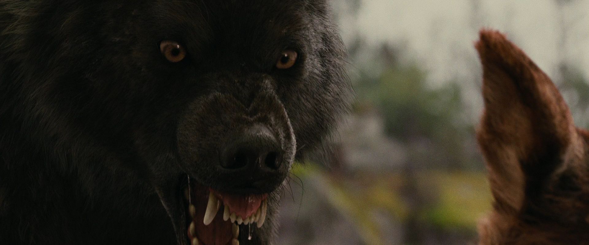 BreakingDawnPt1-2654.jpg
