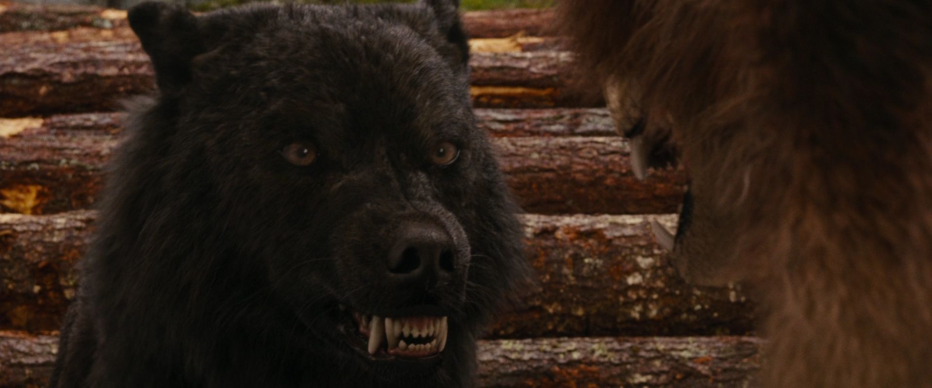 BreakingDawnPt1-2668.jpg