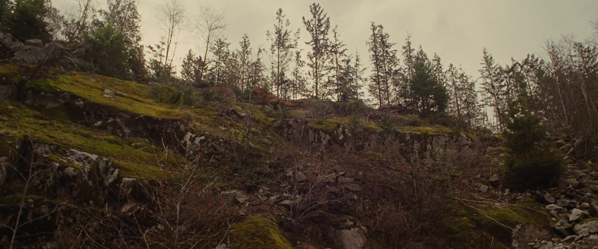 BreakingDawnPt1-2672.jpg