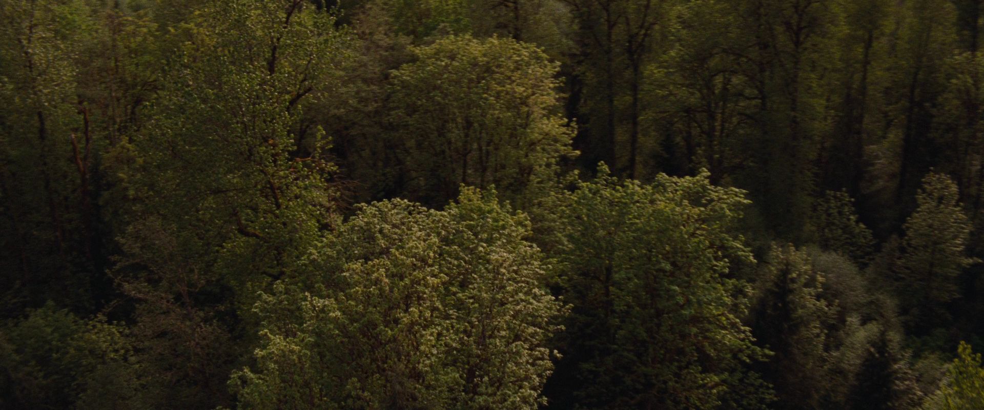 BreakingDawnPt1-2678.jpg