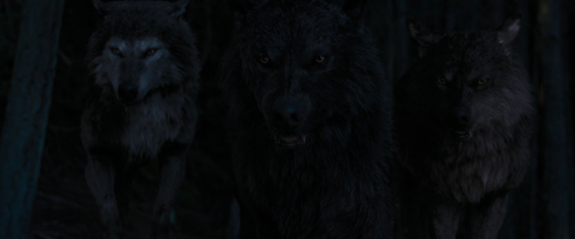 BreakingDawnPt1-2773.jpg