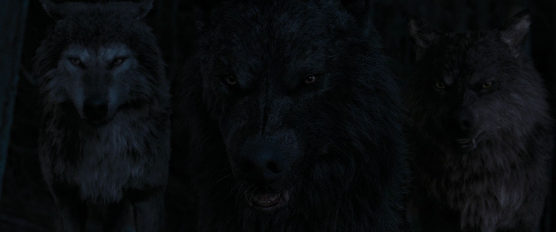 BreakingDawnPt1-2774.jpg