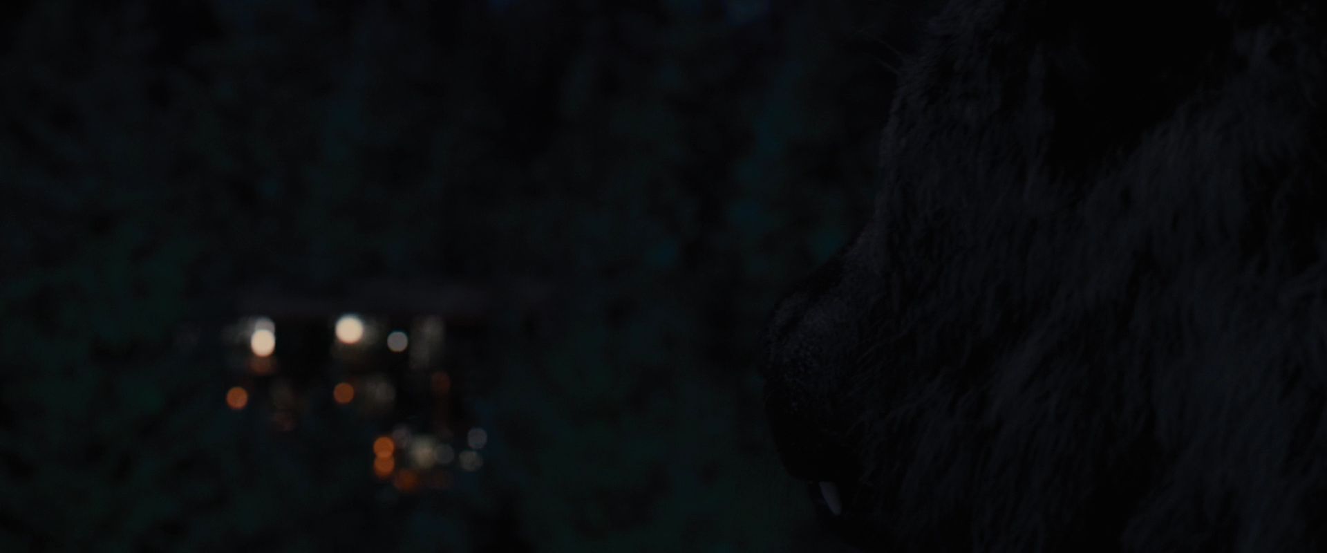 BreakingDawnPt1-2775.jpg