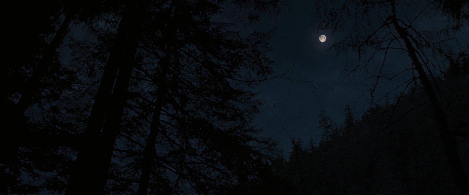 BreakingDawnPt1-2779.jpg