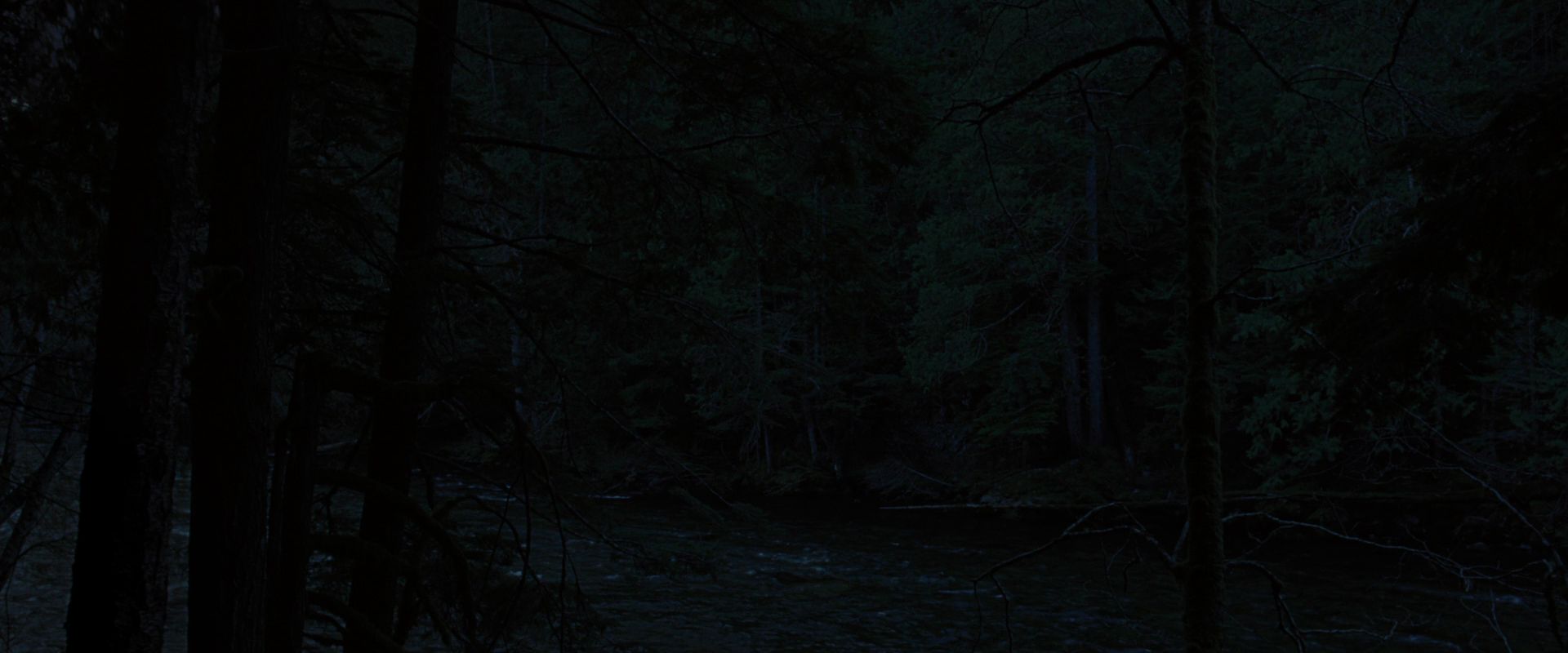 BreakingDawnPt1-2780.jpg