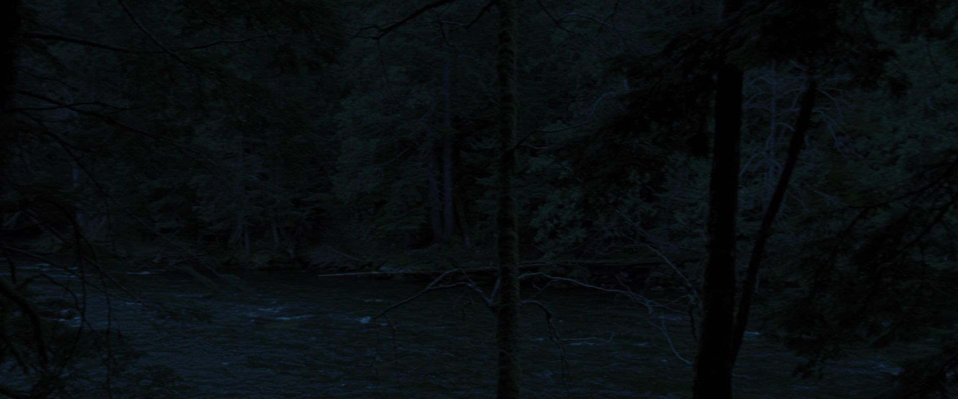 BreakingDawnPt1-2790.jpg