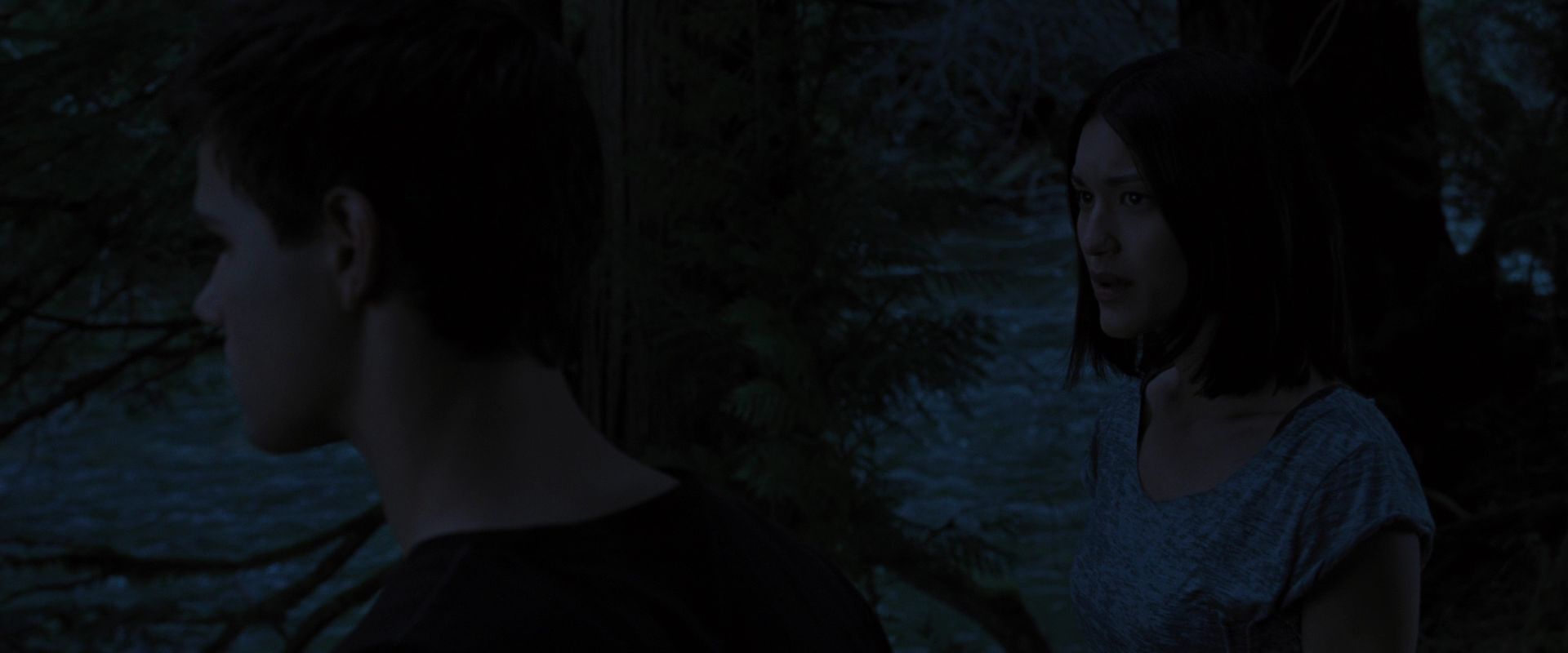 BreakingDawnPt1-2801.jpg