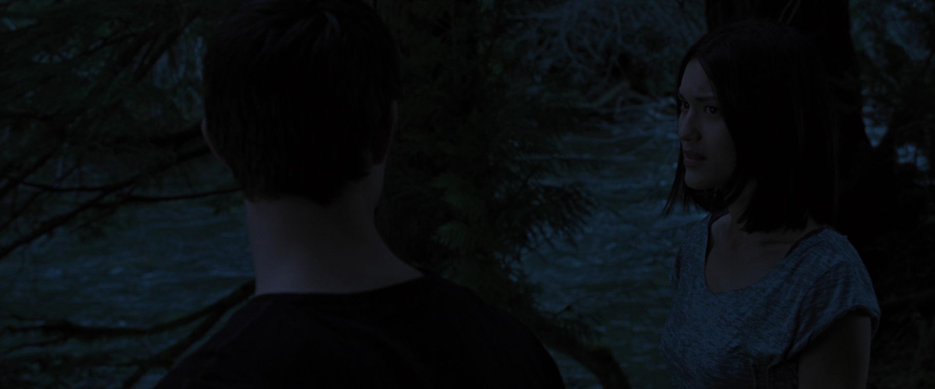 BreakingDawnPt1-2809.jpg