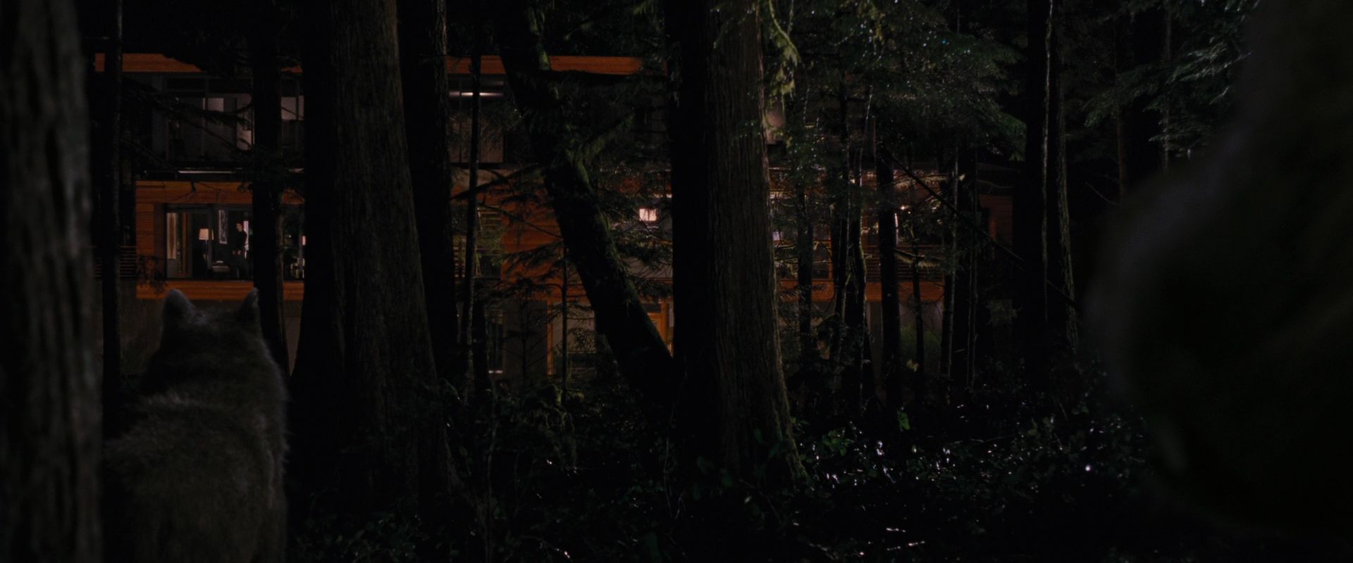 BreakingDawnPt1-2850.jpg