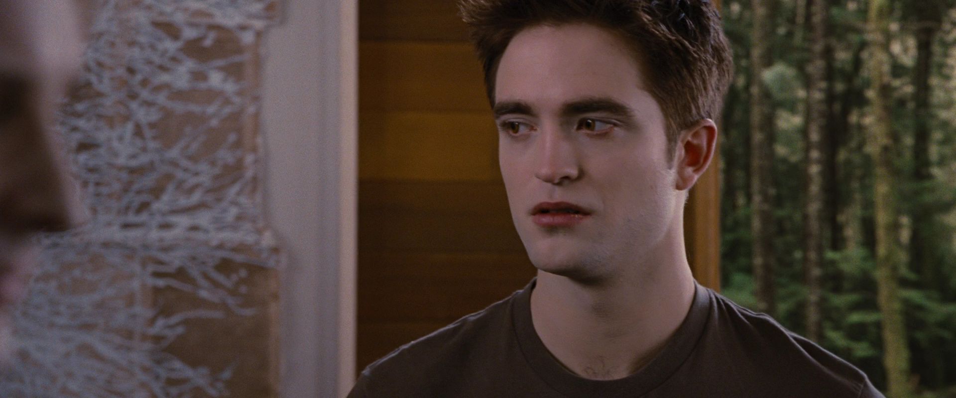 BreakingDawnPt1-2899.jpg