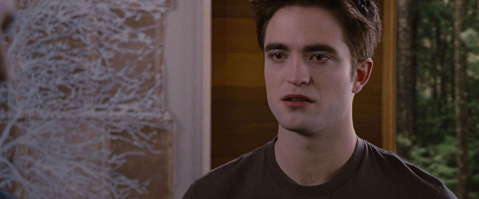 BreakingDawnPt1-2900.jpg