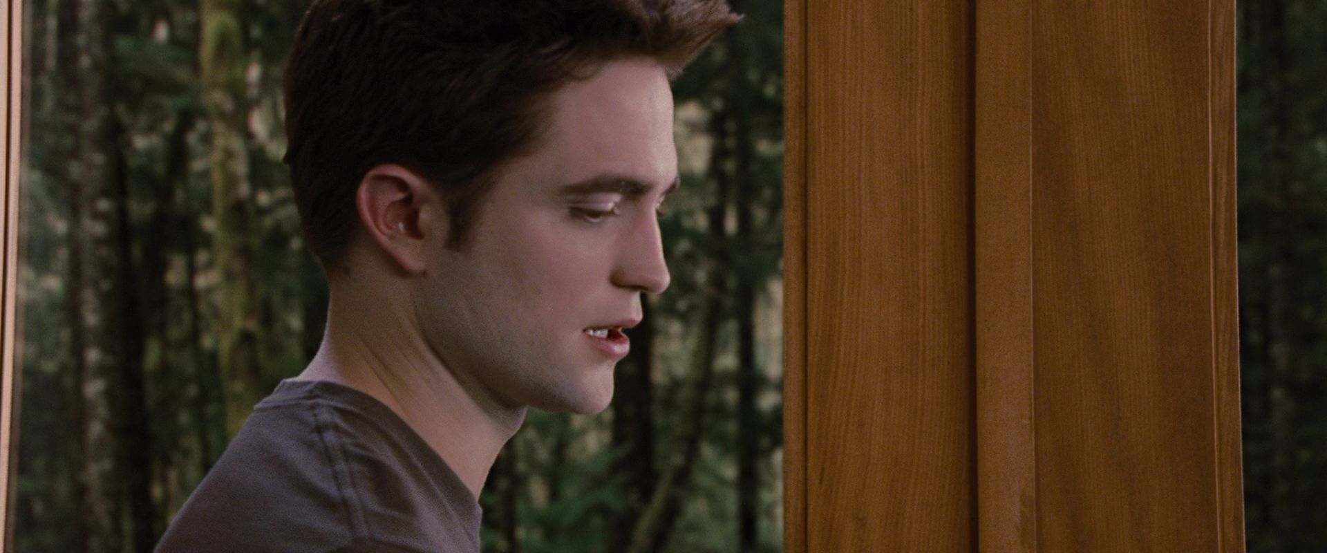 BreakingDawnPt1-2950.jpg