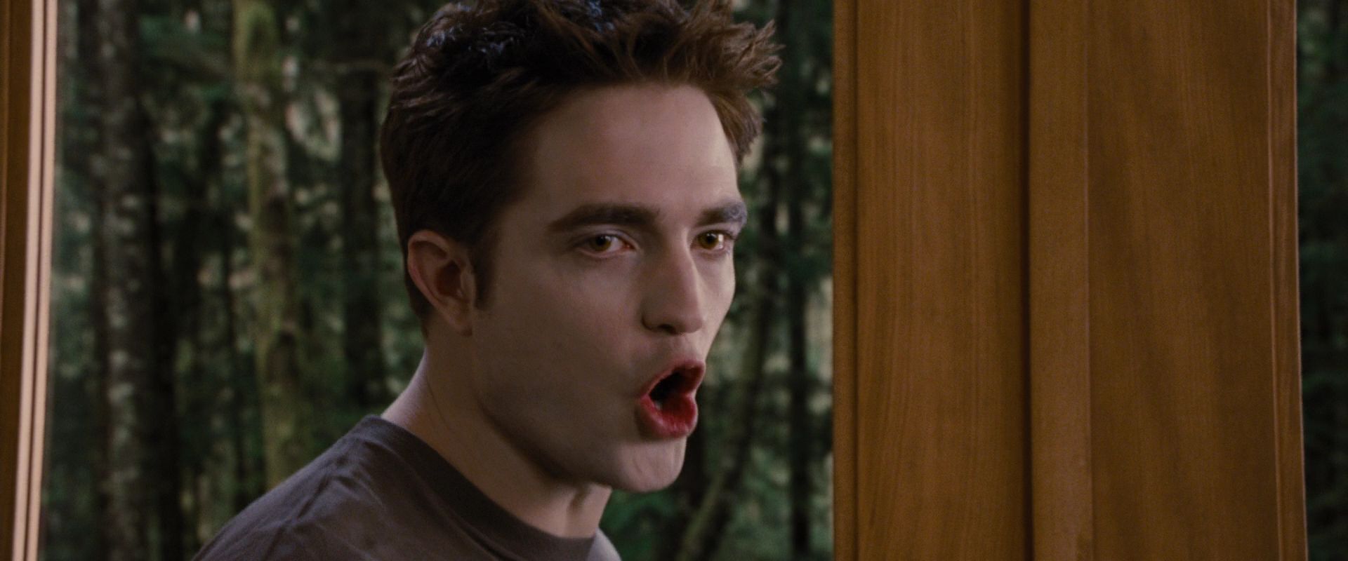 BreakingDawnPt1-2958.jpg