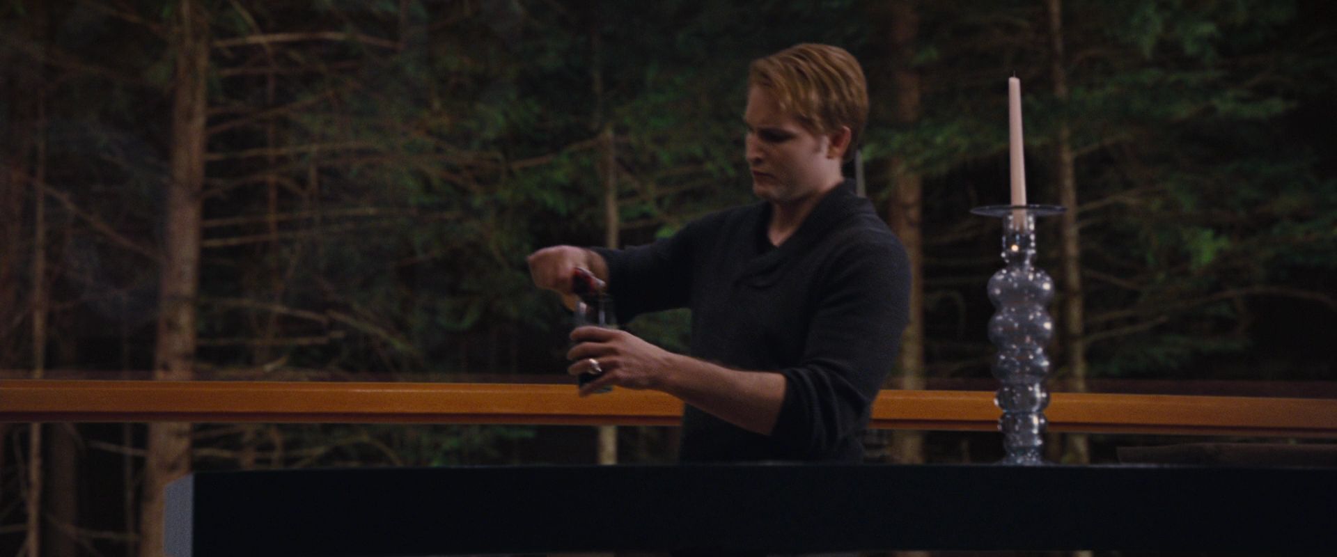 BreakingDawnPt1-3093.jpg