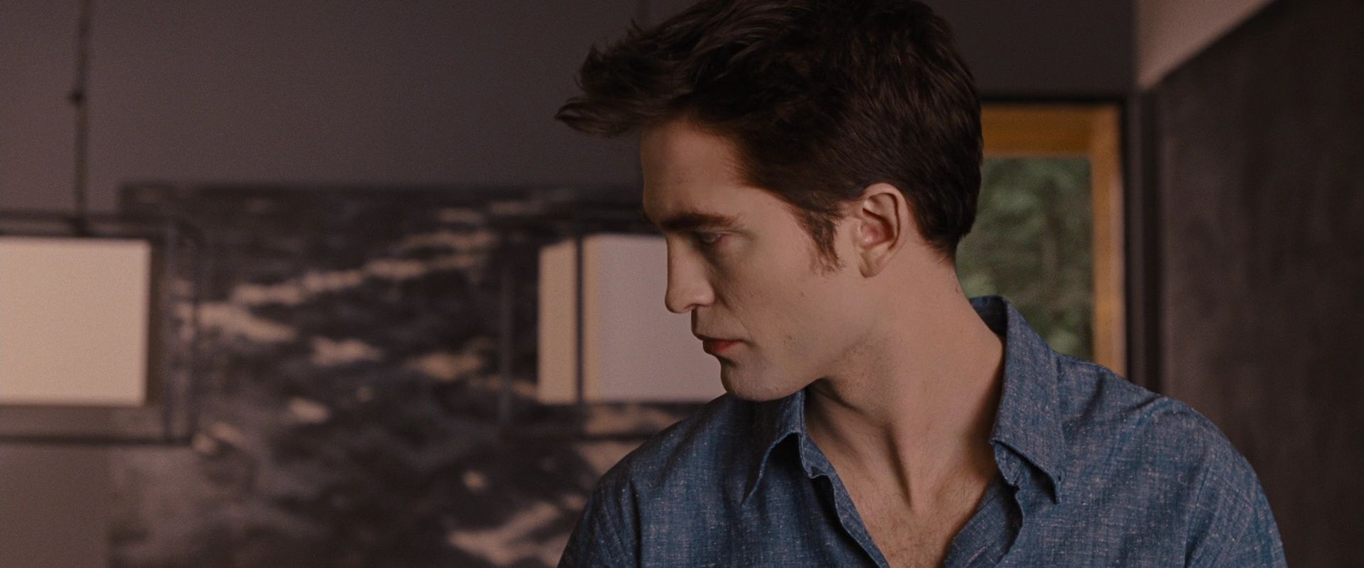 BreakingDawnPt1-3166.jpg