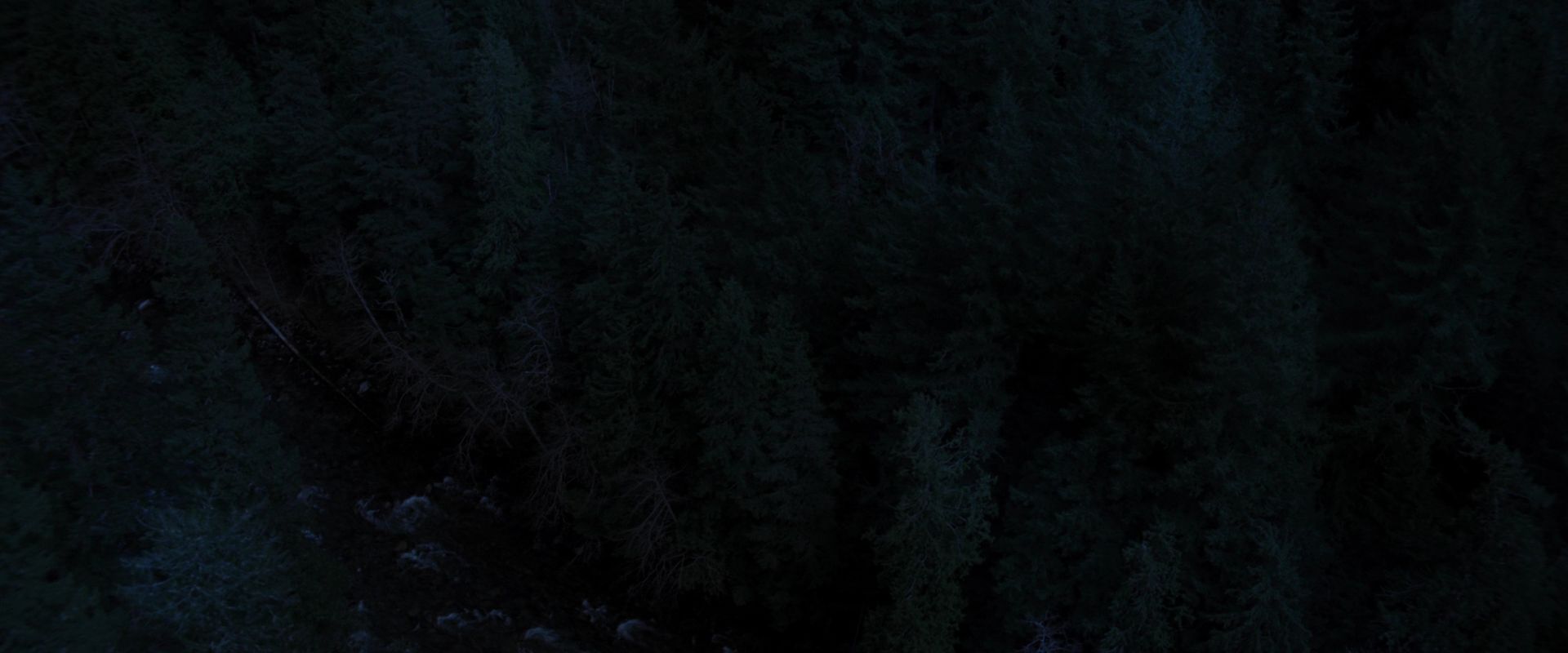 BreakingDawnPt1-3320.jpg