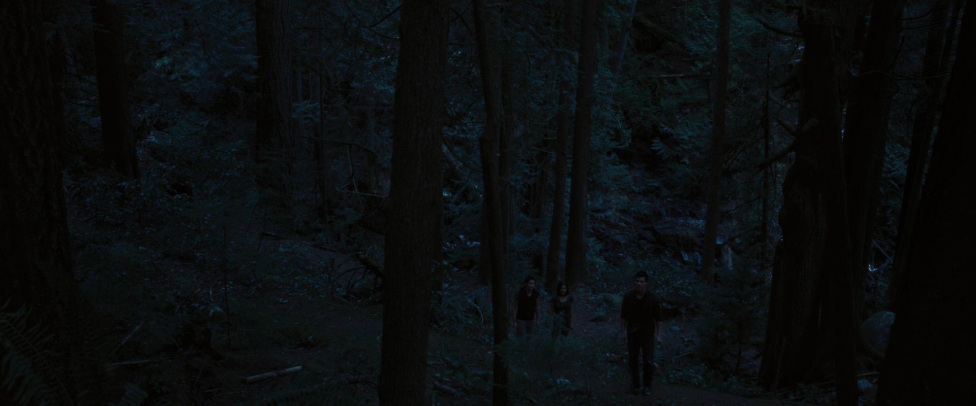 BreakingDawnPt1-3330.jpg