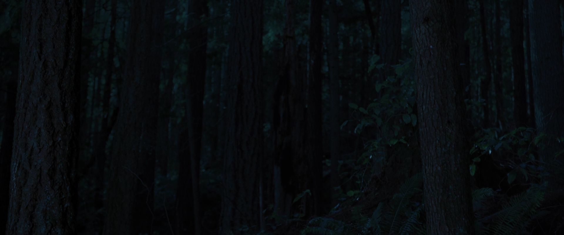 BreakingDawnPt1-3331.jpg