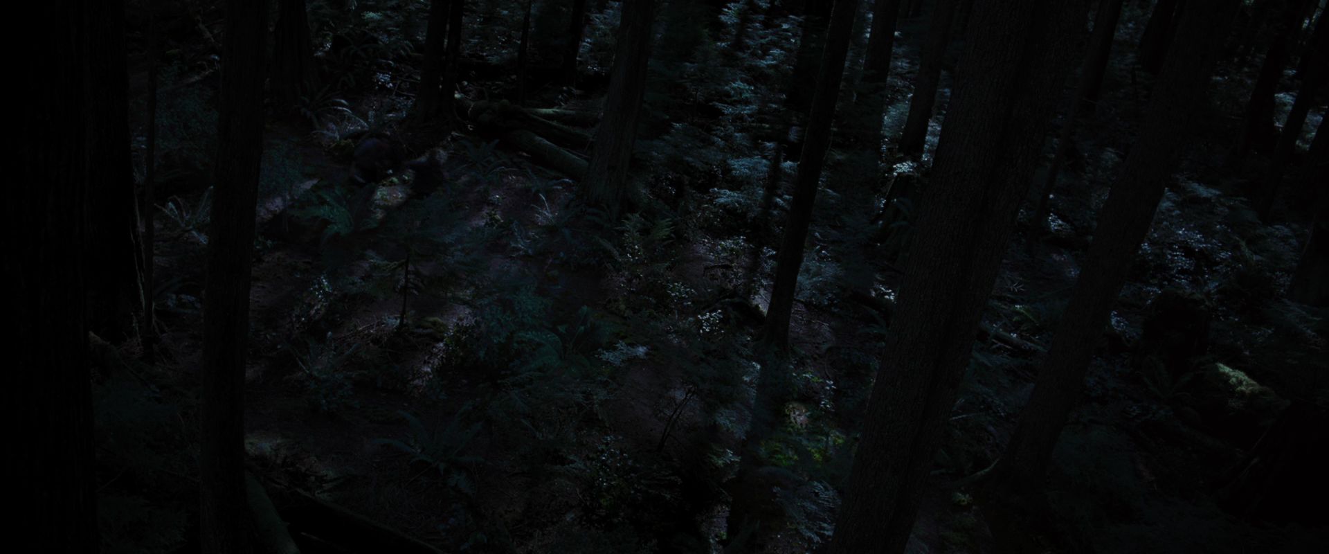 BreakingDawnPt1-3355.jpg