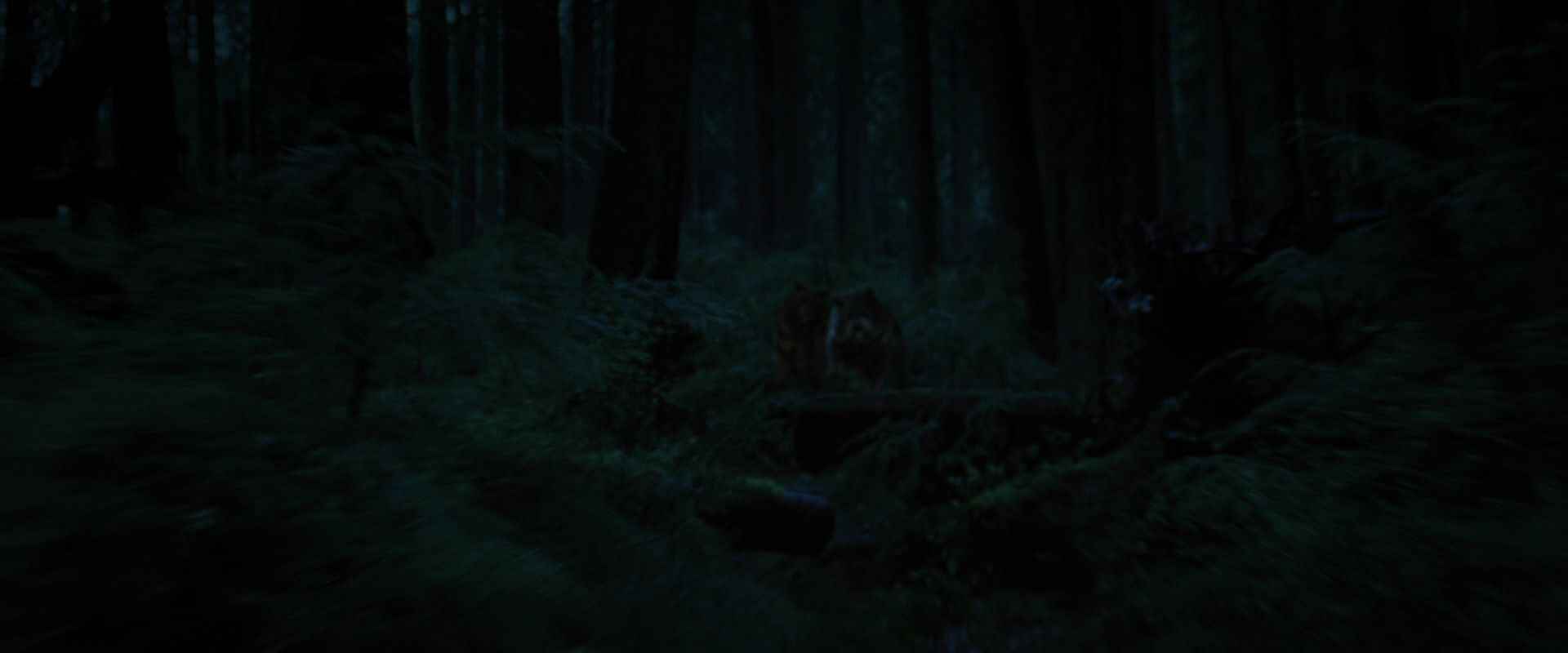 BreakingDawnPt1-3371.jpg