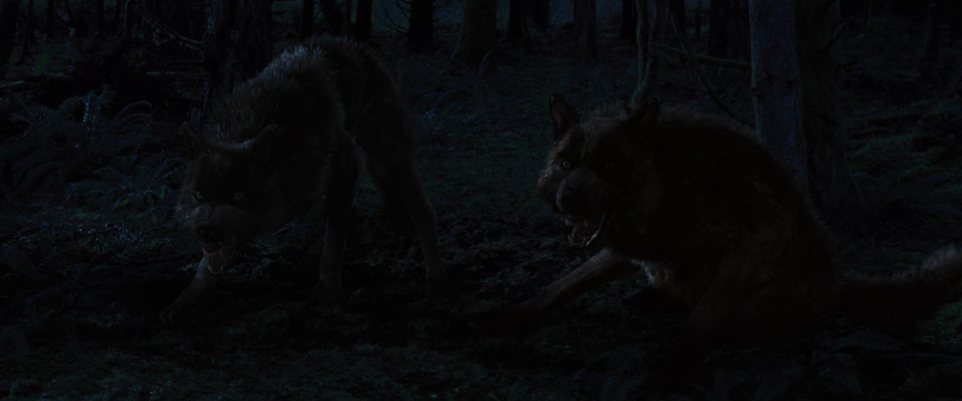 BreakingDawnPt1-3372.jpg