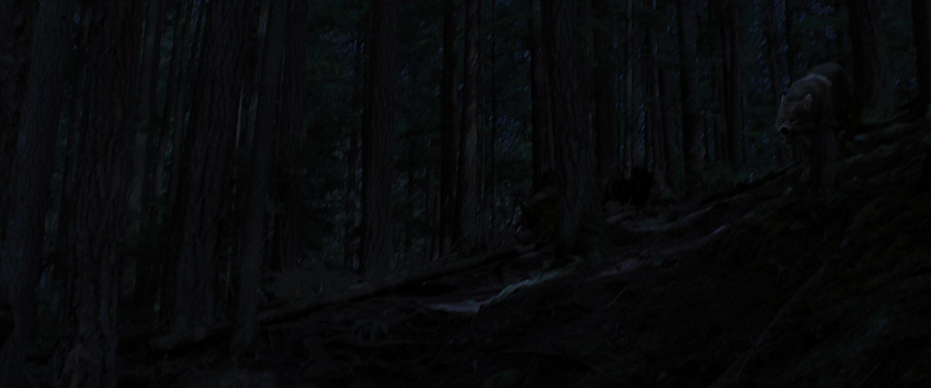 BreakingDawnPt1-3373.jpg