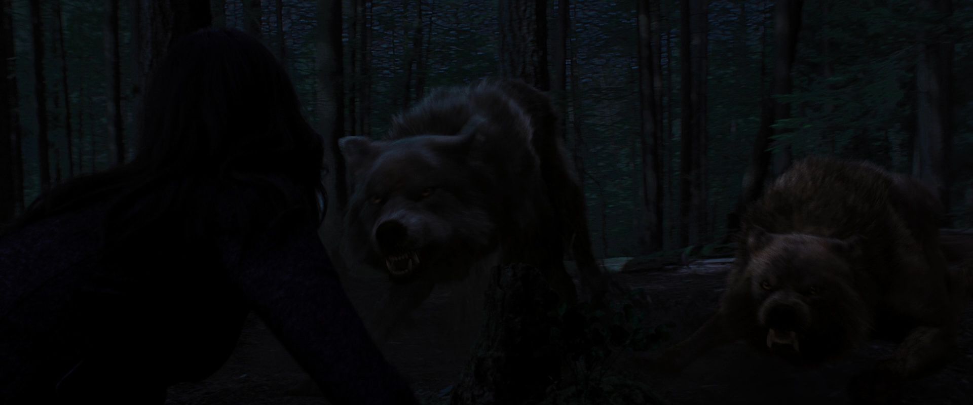 BreakingDawnPt1-3374.jpg