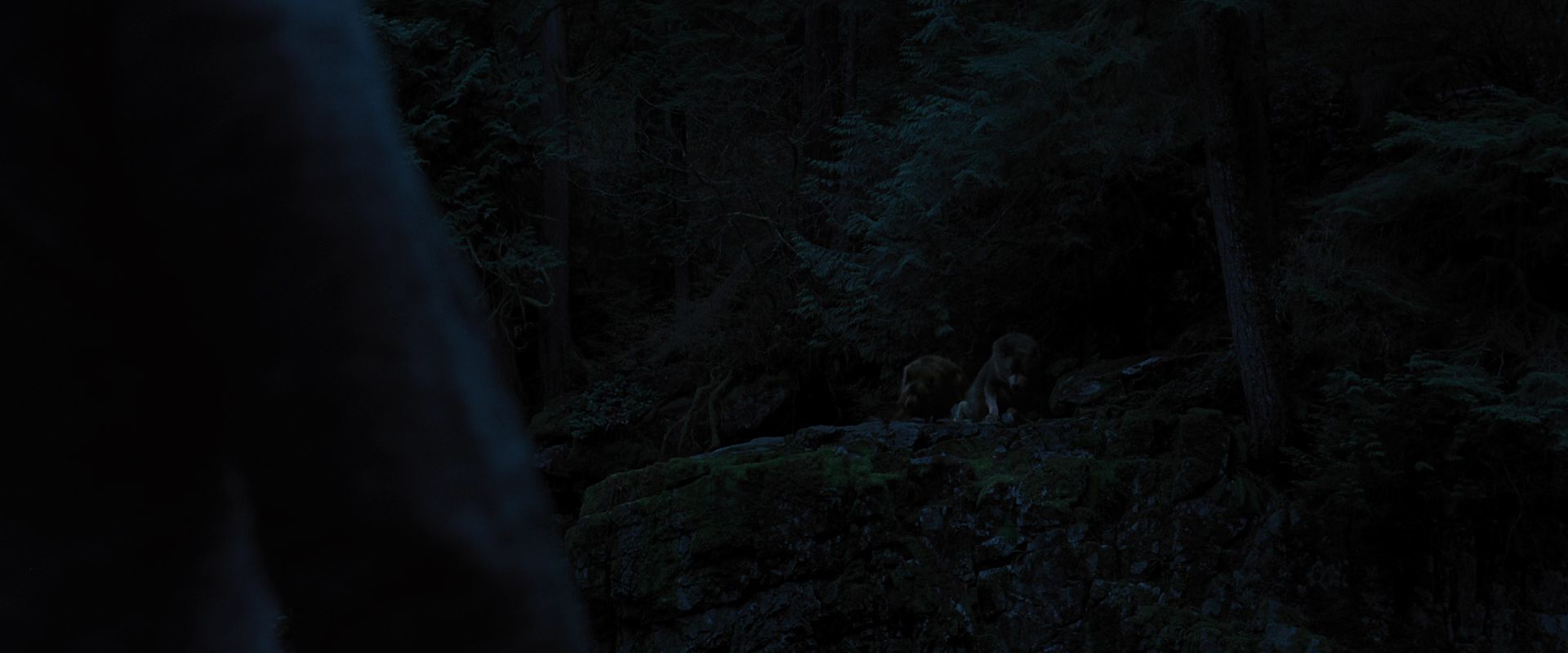 BreakingDawnPt1-3388.jpg