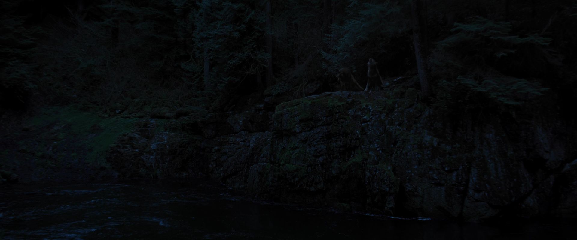 BreakingDawnPt1-3393.jpg