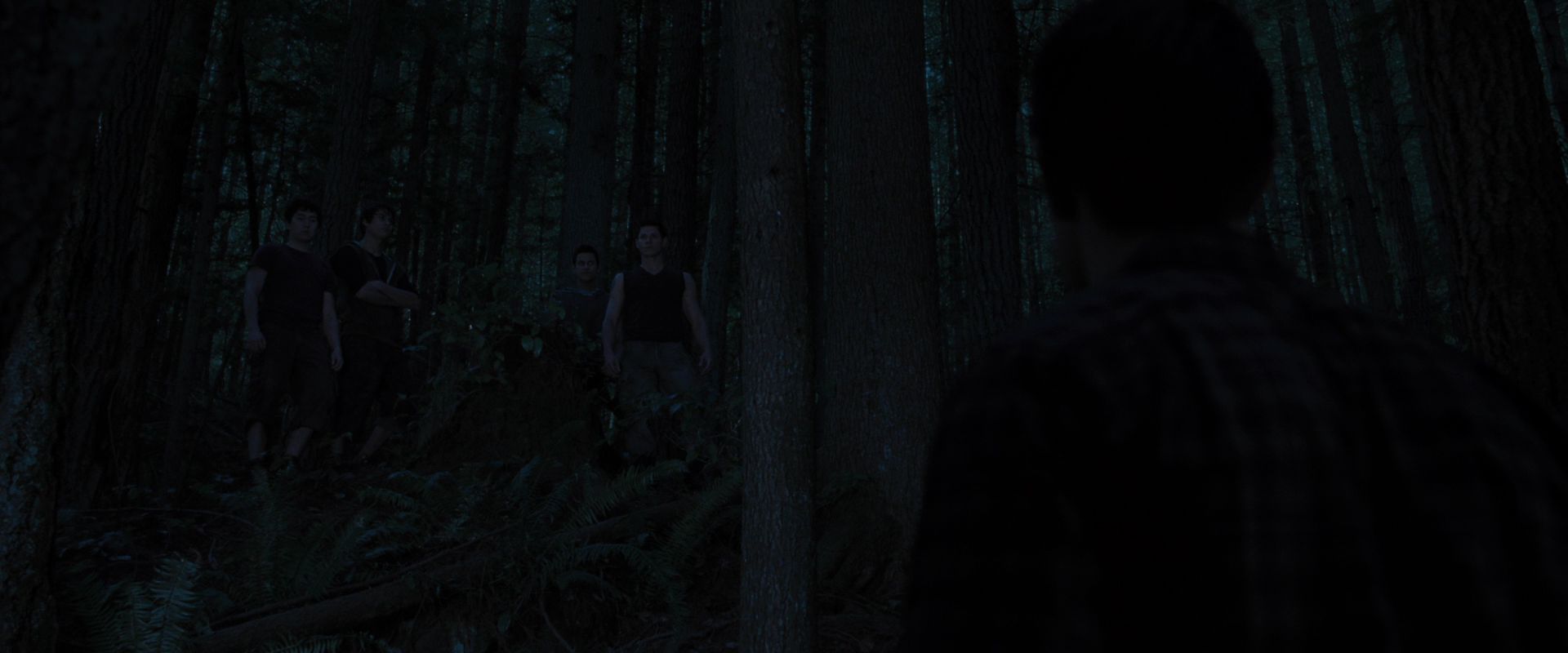 BreakingDawnPt1-3395.jpg