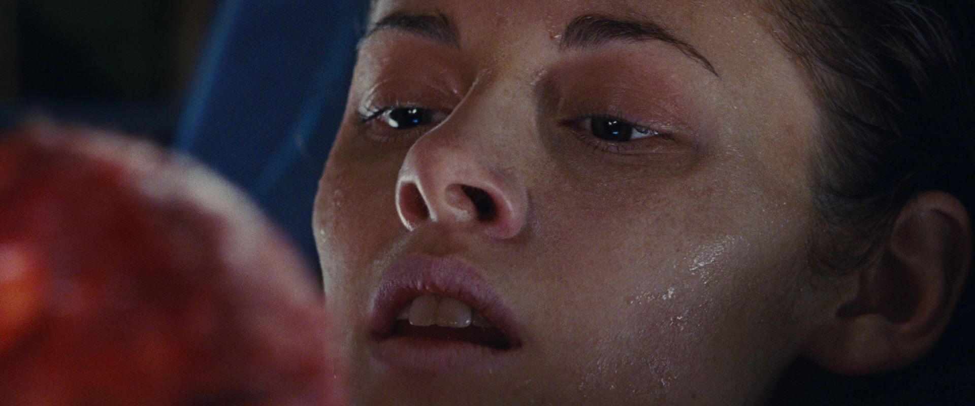 BreakingDawnPt1-3593.jpg
