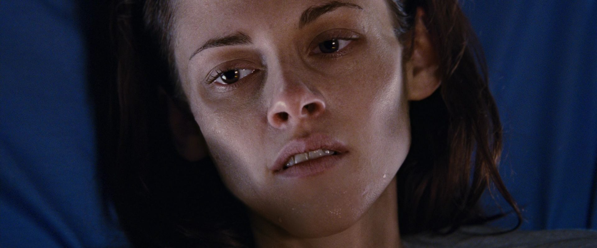 BreakingDawnPt1-3610.jpg