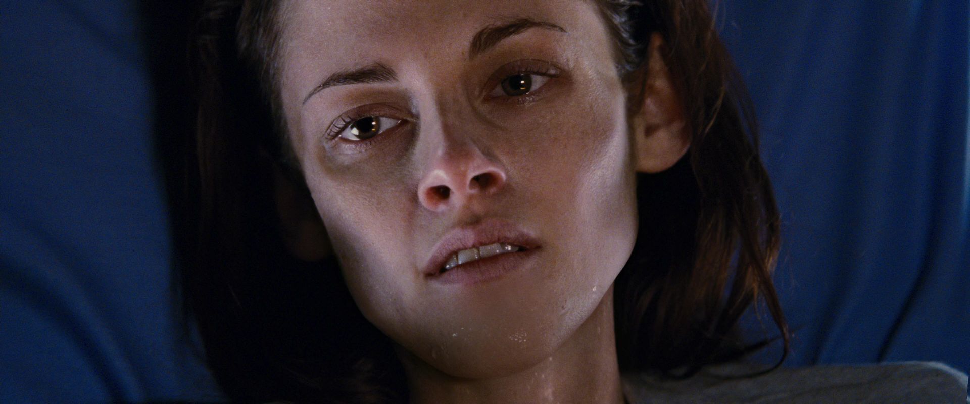 BreakingDawnPt1-3615.jpg