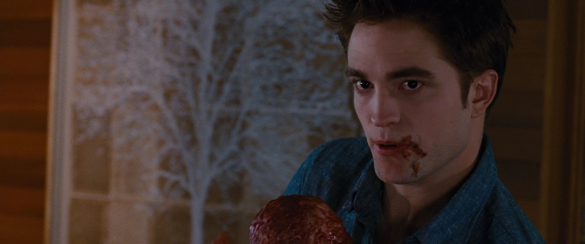 BreakingDawnPt1-3626.jpg