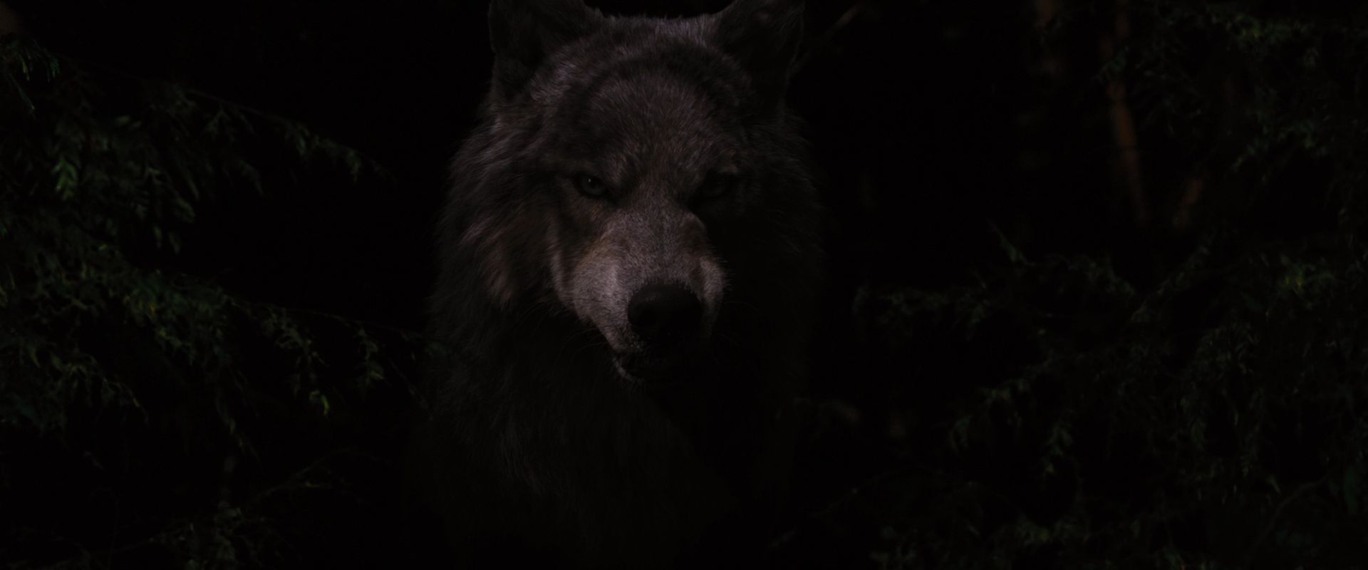 BreakingDawnPt1-3703.jpg