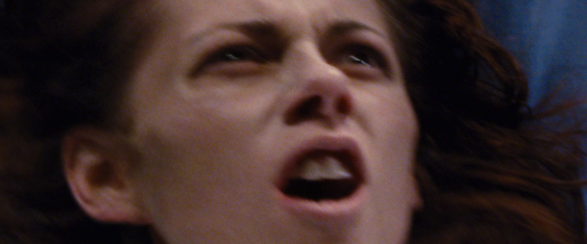 BreakingDawnPt1-3748.jpg