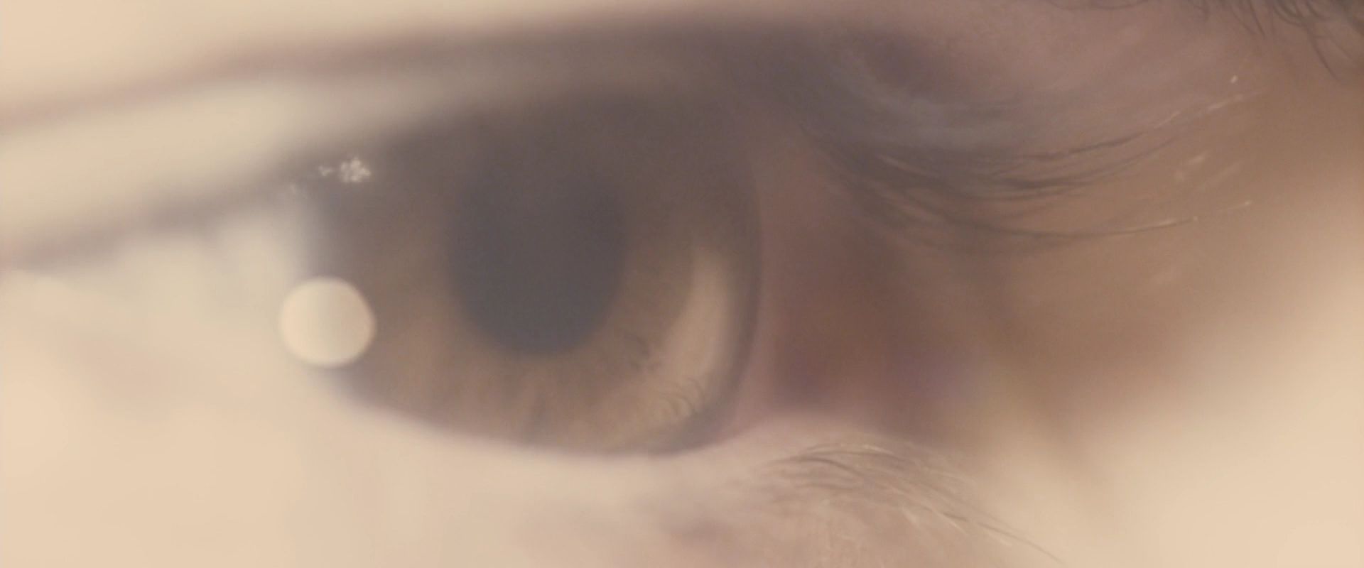 BreakingDawnPt1-3812.jpg