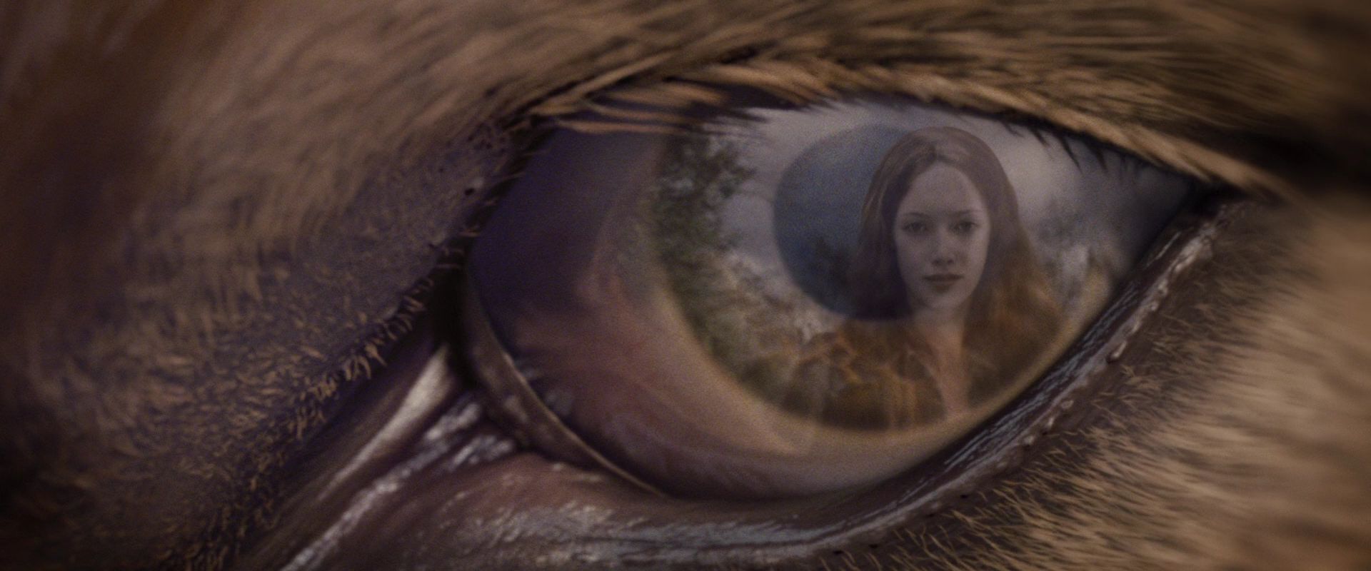 BreakingDawnPt1-3822.jpg