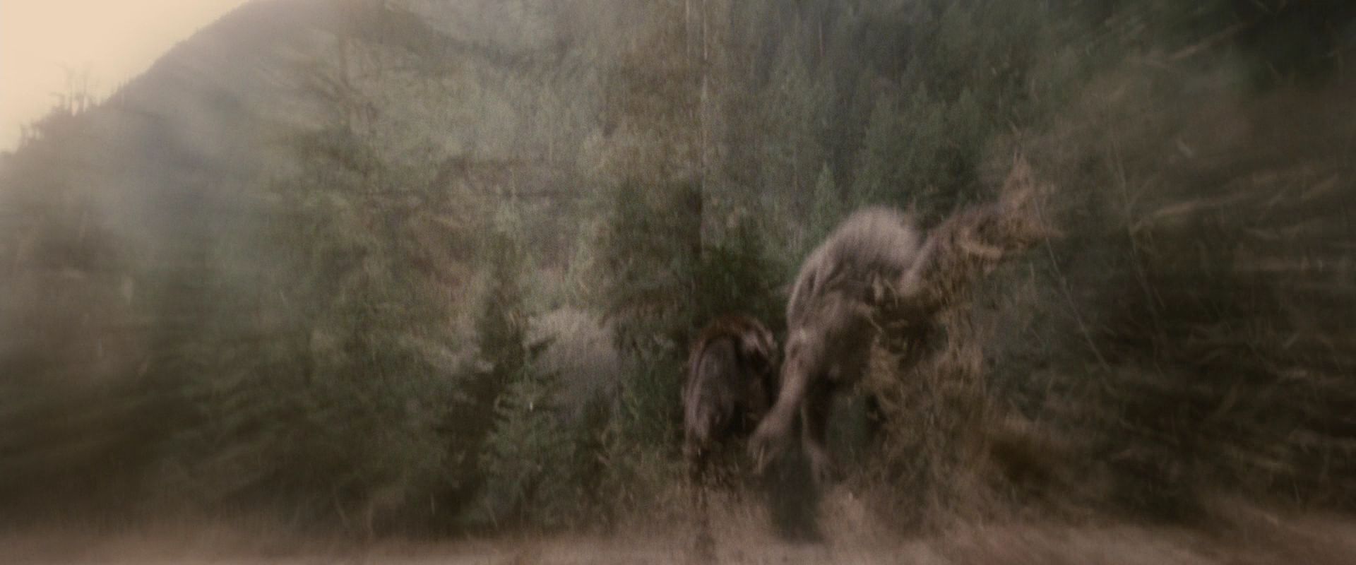 BreakingDawnPt1-3823.jpg