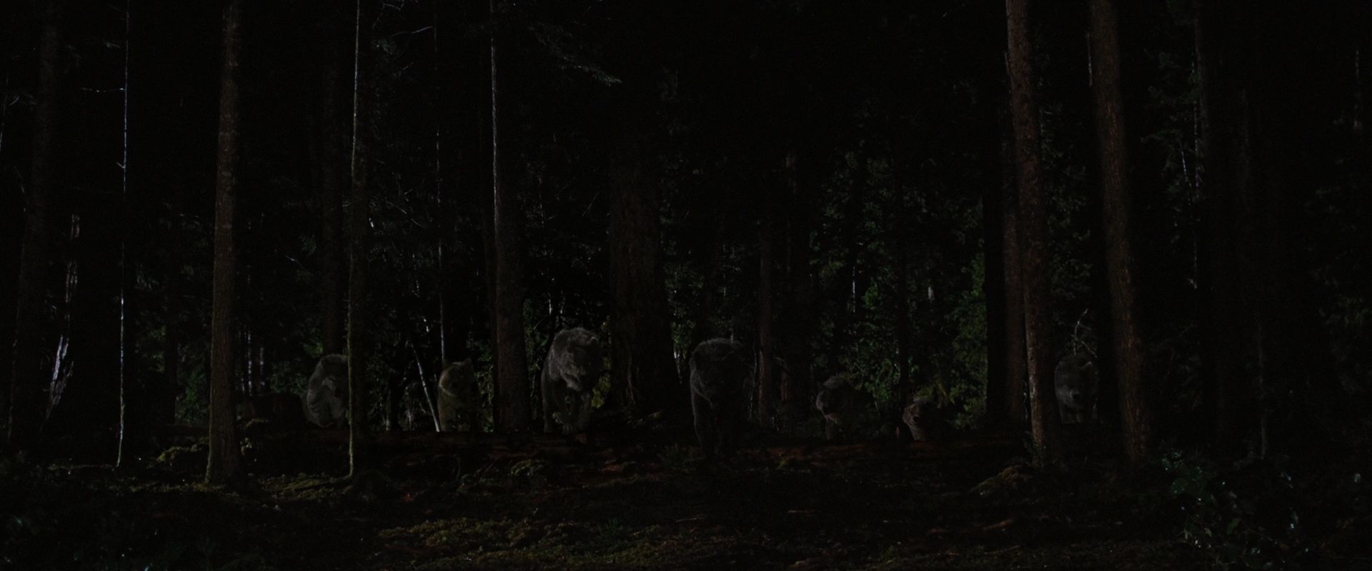 BreakingDawnPt1-3856.jpg