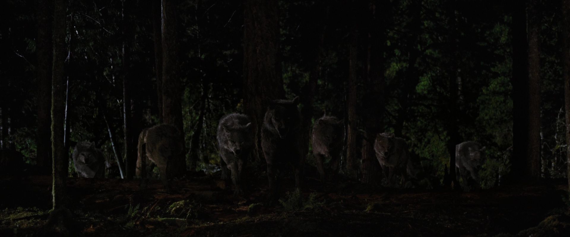 BreakingDawnPt1-3861.jpg