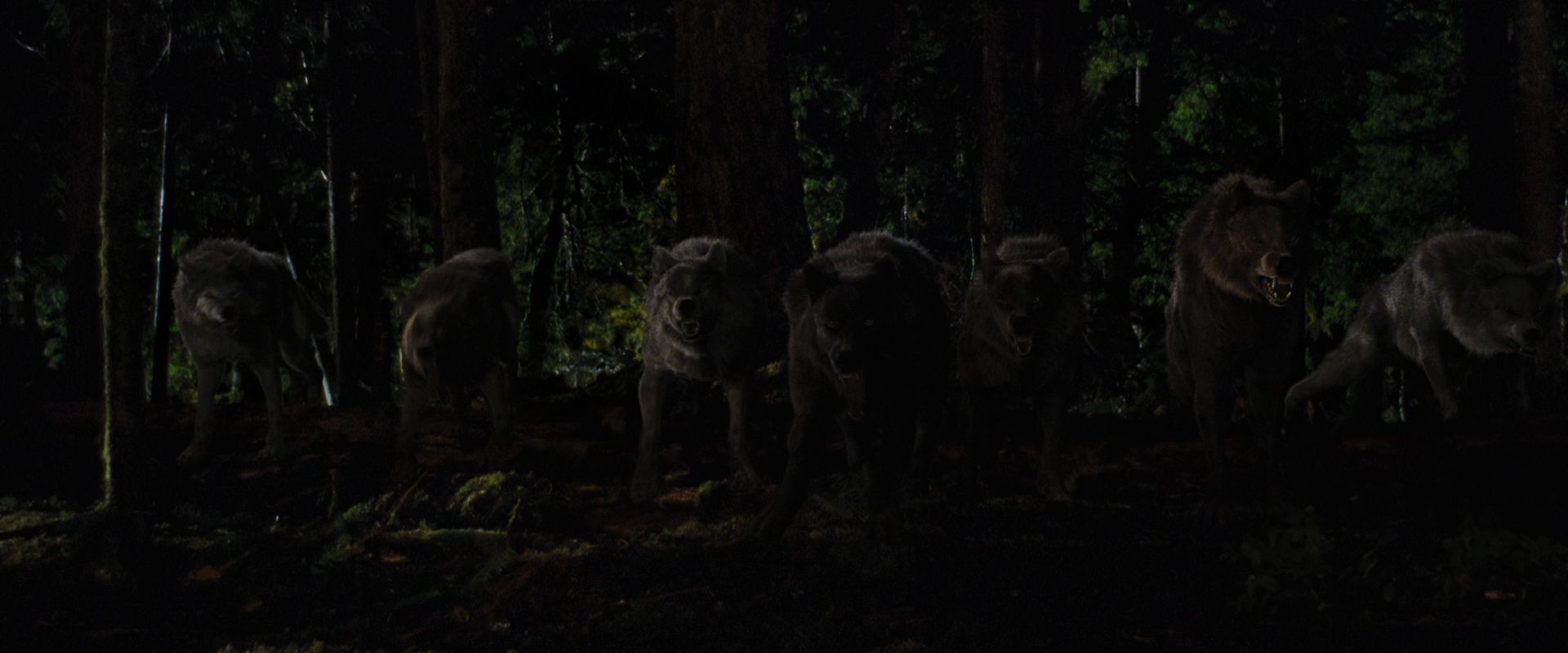 BreakingDawnPt1-3869.jpg