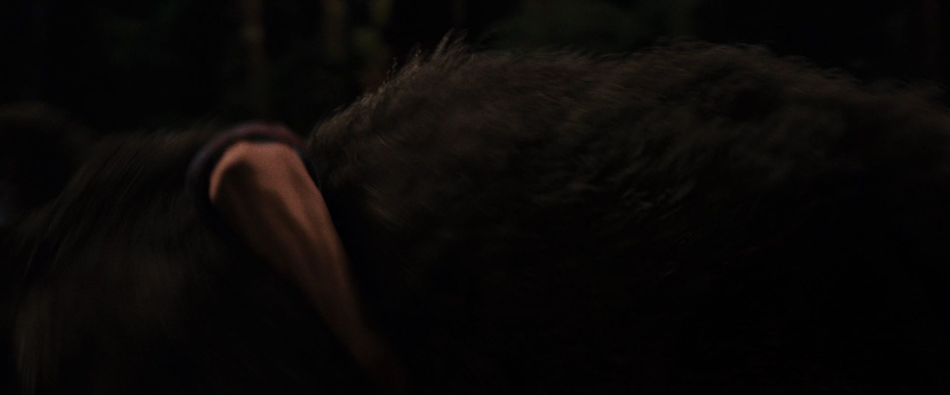 BreakingDawnPt1-3871.jpg
