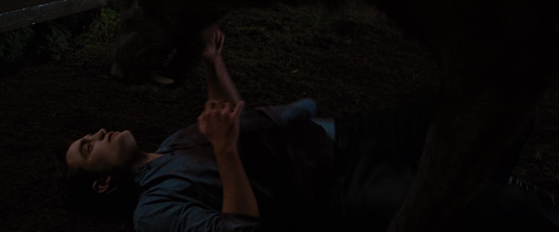 BreakingDawnPt1-3874.jpg