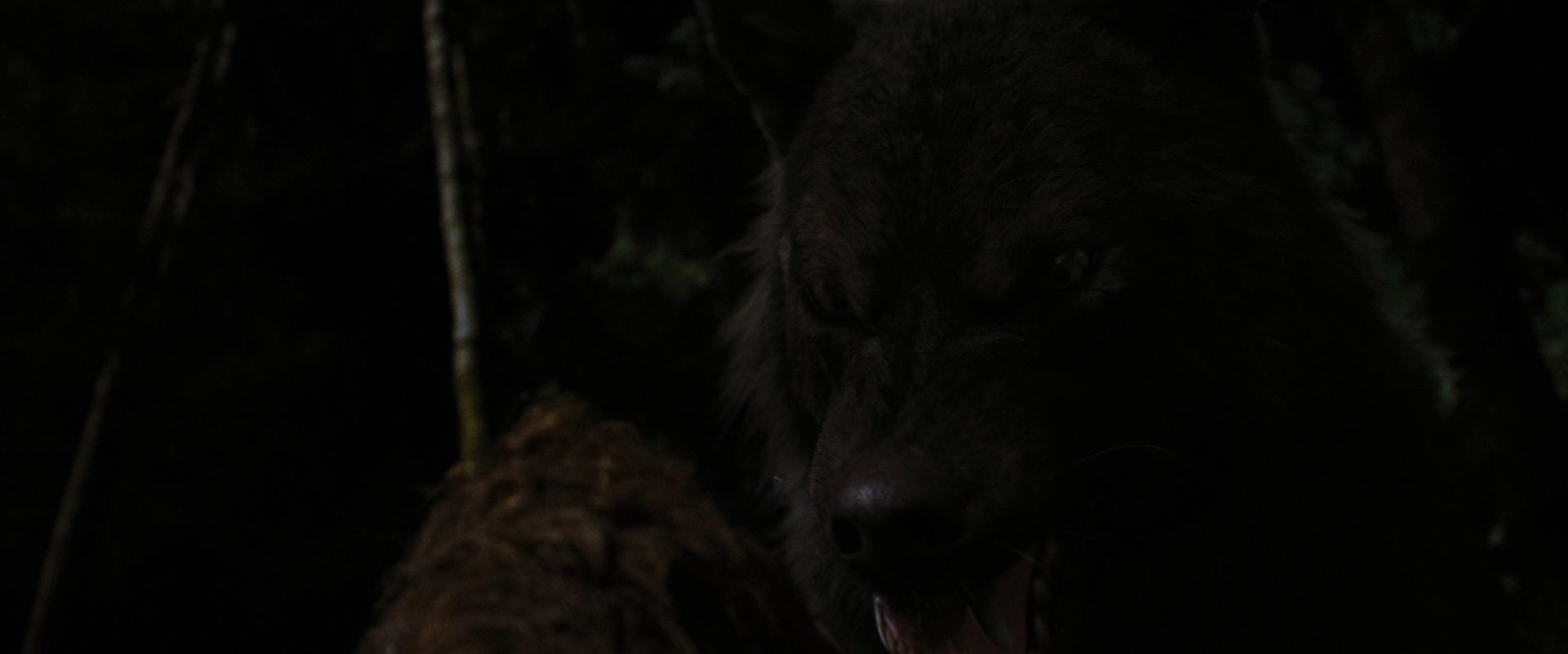 BreakingDawnPt1-3876.jpg