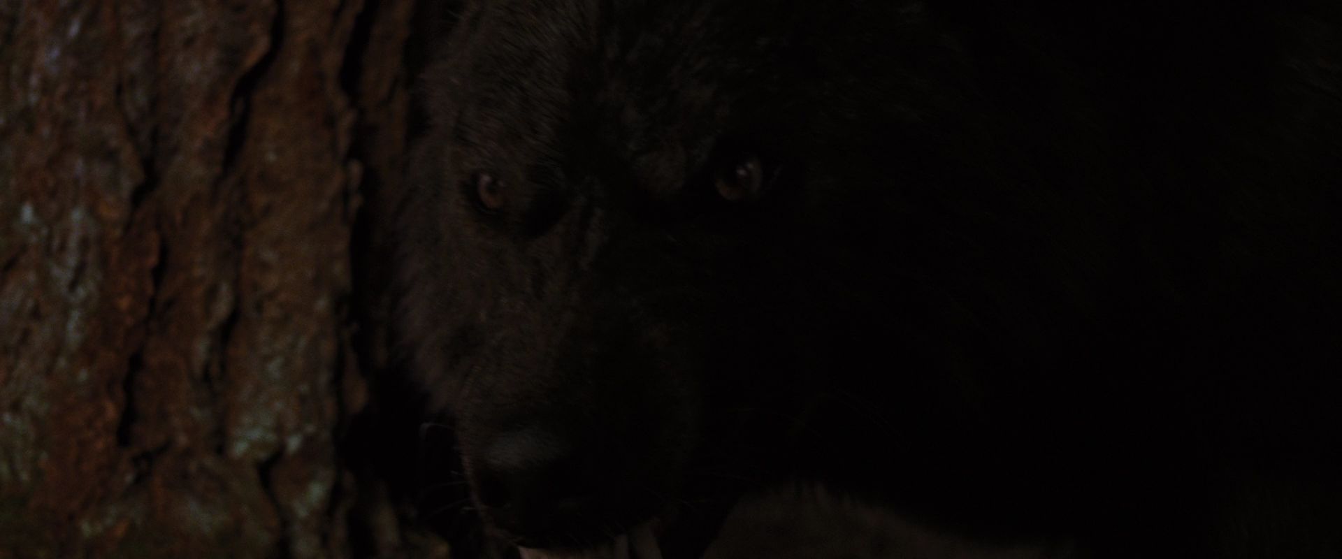 BreakingDawnPt1-3880.jpg