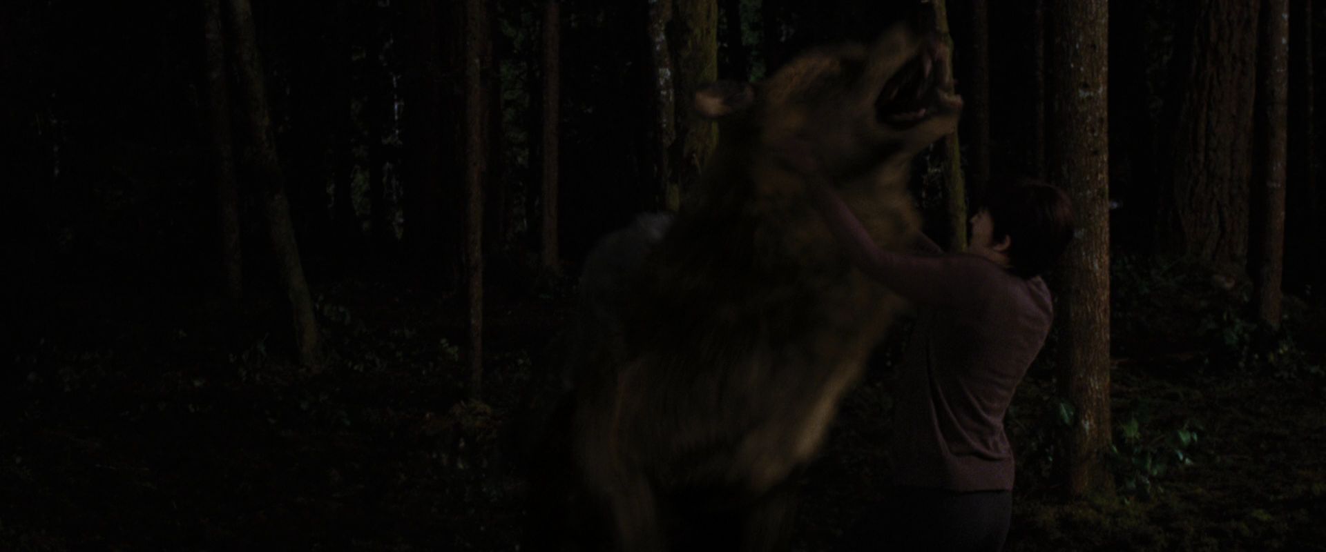 BreakingDawnPt1-3883.jpg