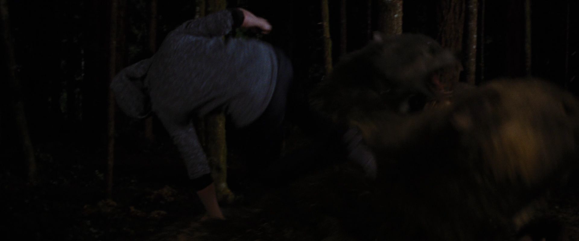 BreakingDawnPt1-3884.jpg